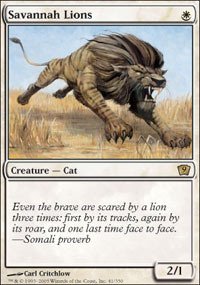 Magic: The Gathering Savannah サイン入り MTG専門店|東京MTG】MTGカード・アート通販サイト
