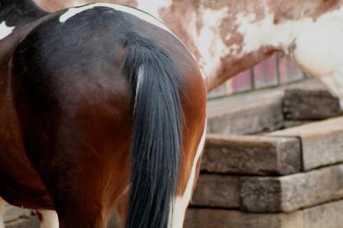 Unfortunately I can read