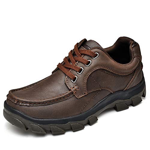 Chicwind Men's Outdoor Trekking Running Shoes Lace Up Breathable Casual Sneaker Dark Brown 10.5 #TOP16