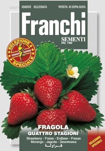 Franchi Seeds of ItalyStrawberry Fragola Quattro Stagioni Seeds