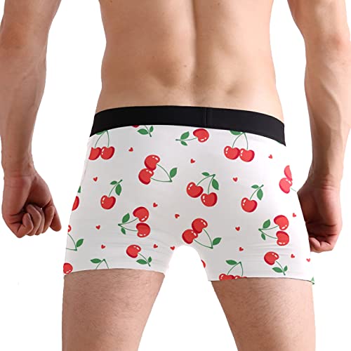 Men's Stretch Underwear Christmas Gnomes Polyester Men Boxer Briefs3