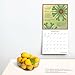 A Fearless Woman | 2025 12 x 24 Inch Monthly Square Wall Calendar | Featuring the Artwork of Jeannie Roberts Royce | Plastic-Free | Brush Dance | Floral Artwork Flowers
