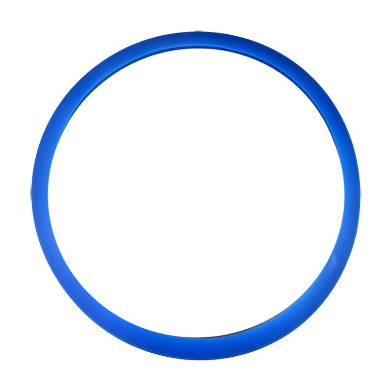 Single blue circular autoclave door gasket