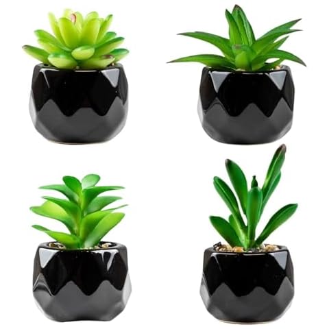 ANCDTVV Mini Fake Succulents Set of 4 Cover