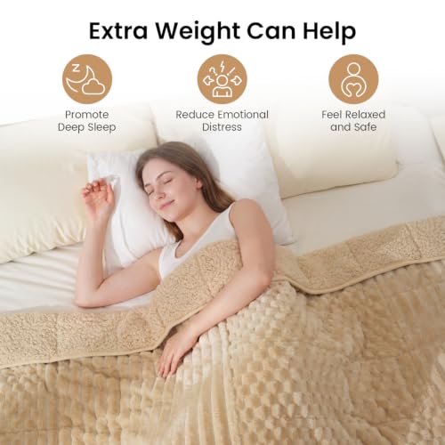 Image of Drewin Weighted Blanket for Adults Queen Size 20lbs, Soft Cozy Turtleback Sherpa Weighted Blankets for Sleeping and Calming, Thick Bed Blanket for Couch Bed, 60 x 80 inches, Light Khaki