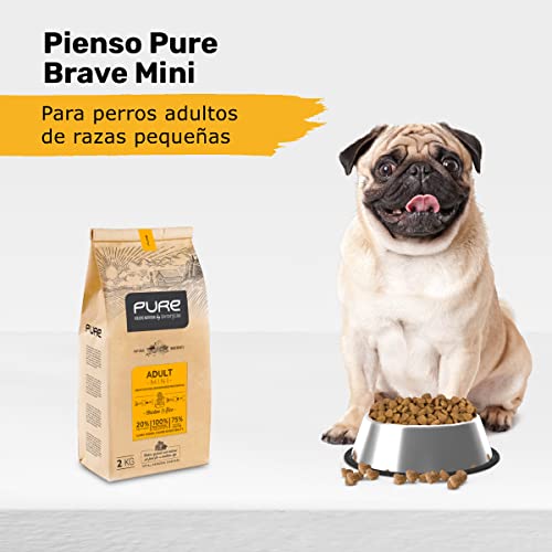 Avantis Pure Brave Mini, Futter für Erwachsene Hunde Kleiner Rassen, 2 kg, knuspriges und leicht zu kauendes Krokettenfutter, Huhn und Reis
