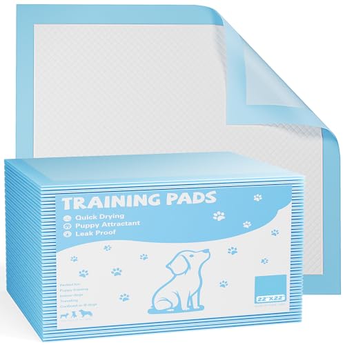 Puppy Pads, Regular Size 22'x22', 100 Count, Pee Pads for Dogs Potty Training, Ultra-Absorbent 6-Layer Leak-Proof, Quick-Dry Surface