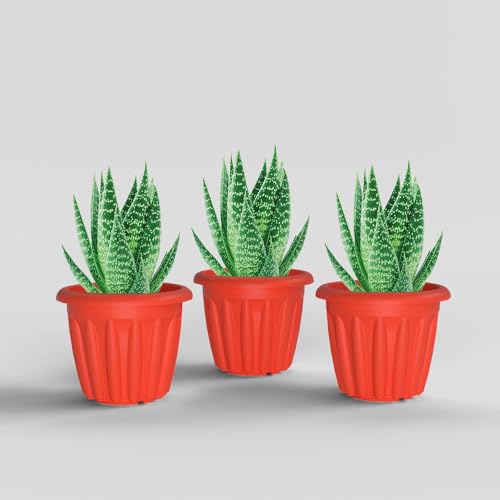 Image of YUCCABE ITALIA SHERA Floot 6 Inch Plastic Flower Pot 3 Piece Set of Round Shape Planter for Home Garden Seedling Planter for pots (Red)