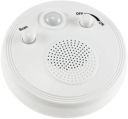 Faszinierend Radio Mit Bewegungsmelder Ebenbild