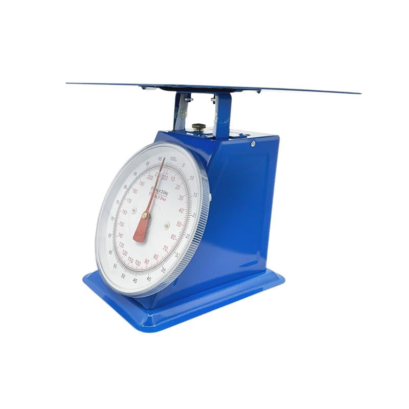 Professionelle mechanische Waage, 100 kg