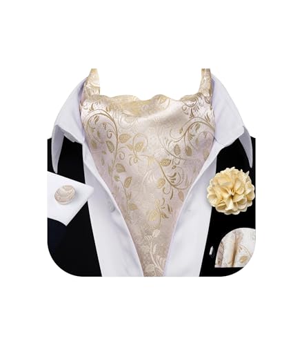 YOHOWA Ascot Ties for Men Champagne Gold Cravat Tie Self Necktie Pocket Square Cufflinks Lapel Pin Set Wedding Prom Party