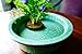 SVY Japanese Kenzan Ikebana Flower Arranger, Kenzan Flower Frog with Needle Calibrator and Cleaning Brush (2.4