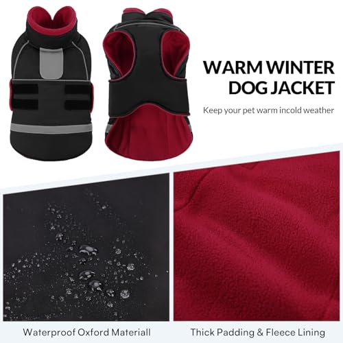CITÉTOILE Hundejacke mit Klettverschluss – Reflektierend, Führungsöse & wärmender Kragen – Leichtes Wintercoat mit weicher Füllung, Schwarz, L