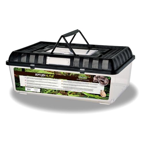 Reptiles Planet - Repti Box XL - Boite de Transport en Plastique avec Couvercle Amovible - 42 x 26 x 16 cm