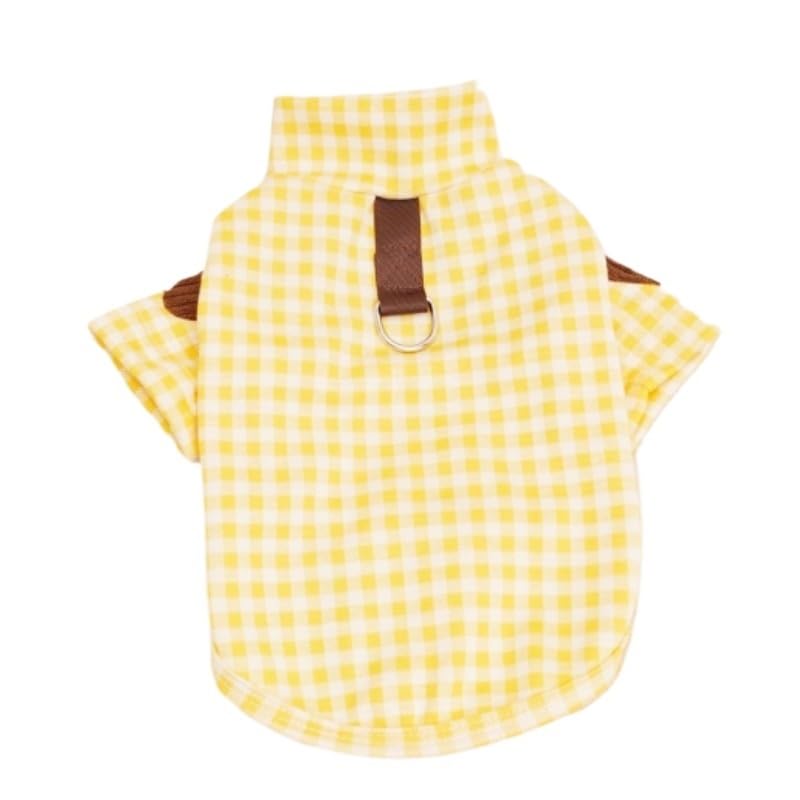 Pull d'automne écossais pour chihuahua en balade | Confort coton doux jaune XXL