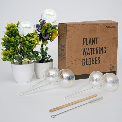 Iridescent Self-Watering Globes (6 pcs) Glass Plant Watering Orbs