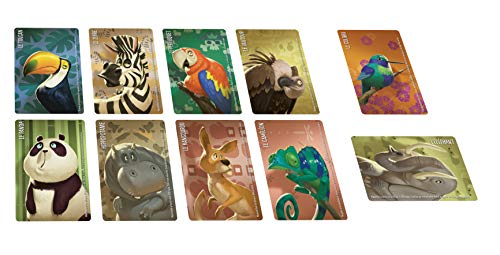Gigamic - SIMILO Wild Animals - Cooperative deduction game for the whole family - From 7 years old, Multicolored - Image 3