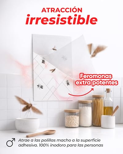 Miniatura 3 de Pic Trampa Para Polilla De Despensa - 6x Piezas - Medios De Protección Contra Las Polillas En La Cocina Y El Almacenamiento De Alimentos