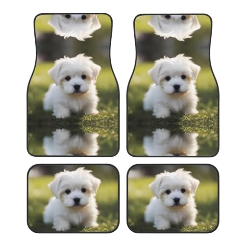 Tapis de voiture antidérapant BROLEO lot de 4 protecteurs faciles à nettoyer