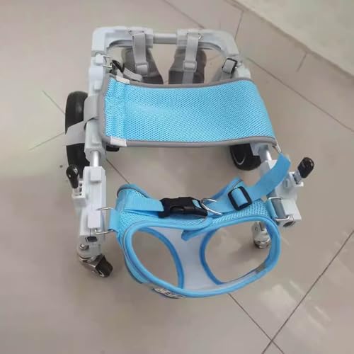 Chariot de récupération pour chien pour retrouver le plaisir des balades au parc