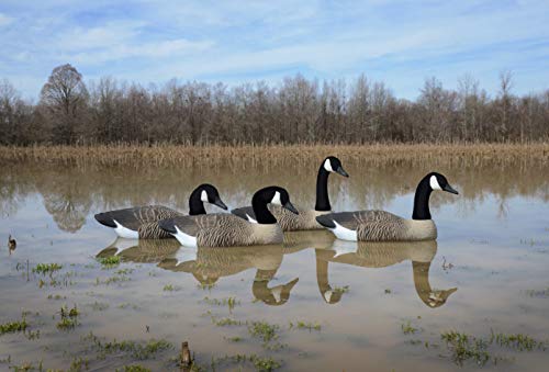 Higdon Outdoors Full-Size Goose Floater, Canada