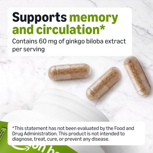 Amazon Basics Standardized Extract Ginkgo Biloba Capsules, 60 mg, 240 Count - image 2
