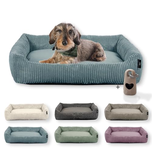 Rohrschneider Hundebett waschbar | für kleine und mittelgroße Hunde | mit Hundekissen Cord | 2 Größen (ca. 55x42 cm/ca. 70x50 cm) inkl. Gassibeutel (Türkis, Cordstoff breit)