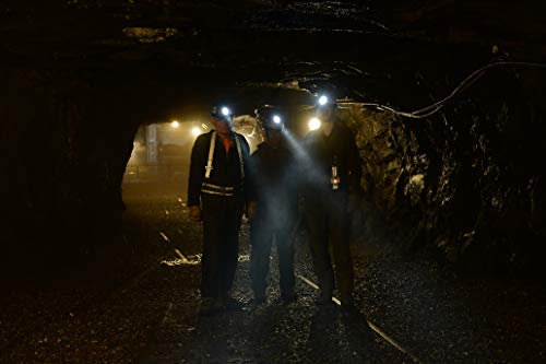 Brightstar Li 6000-G Cordless ‘Wheat’ Led Cap Lamp | Msha, Atex And Iecex Approved | Bright And Long Lasting 15 Hour Run Time | 65 Lumens, Designed For Mining | Ultra Durable And Lightweight #TOP7