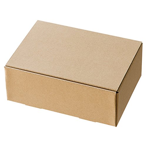 ヘッズ 日本製 箱 クラフト スマートボックス 無地 232×89×170mm 10枚 HEADS MSM-GB9