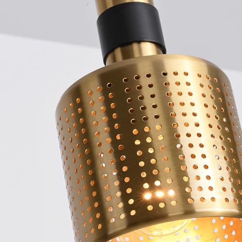 Lámpara colgante de hierro decorativa con rosca E27 para techos de bar 6