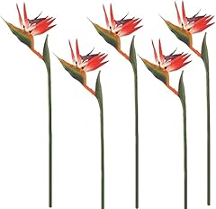 Package Quantity: 5 Stems Red