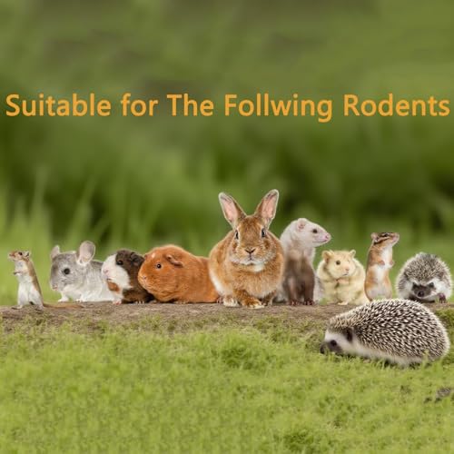Mezcla de batatas deshidratadas y arándanos secos para roedores miniatura 4