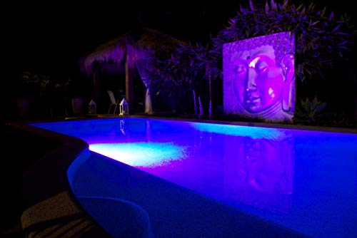 Nantonin 35W Stainless Steel Led Pool Lamp Wall Mounted Multi Color/White Color/Blue Color 12V Ac Waterproof Ip68 Underwater Light Fixture (Rgb) #TOP6