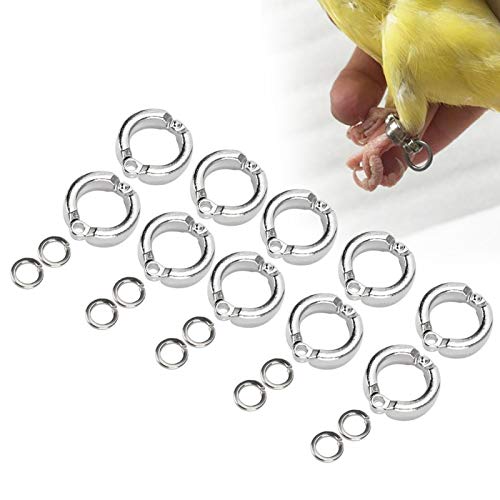 10 Piezas Anillos de pie de pájaro Anillo de Pierna de Loro de Metal al Aire Libre Actividad de Entrenamiento de Moscas Accesorios de Clip de Apertura para Entrenamiento de pájaros(#12)