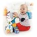 Fisher-Price Roller Blocks Tumblin' Zebra