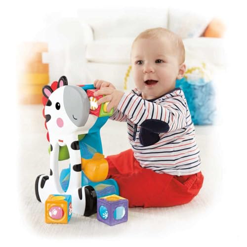 Fisher-Price Brinquedo para Bebês Zebra... glide