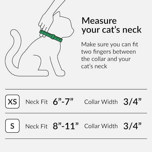 CollarDirect Colar Airtag para gatos com etiqueta QR e sino - Coleira de couro para gatos com suport