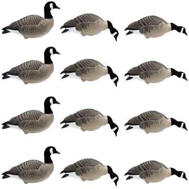 Final Approach HD Full Body Lesser Canada Geese
