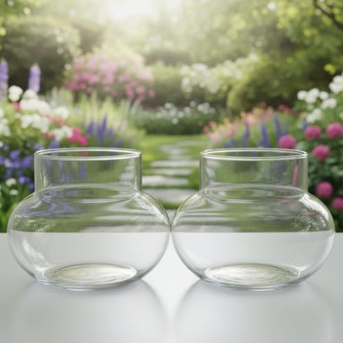 Image of Lucky Bamboo Glass Pot 4 Inch Transparent Round Planter for Indoor Plant Decor