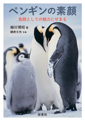 ペンギンの素顔:鳥類としての魅力にせまる
