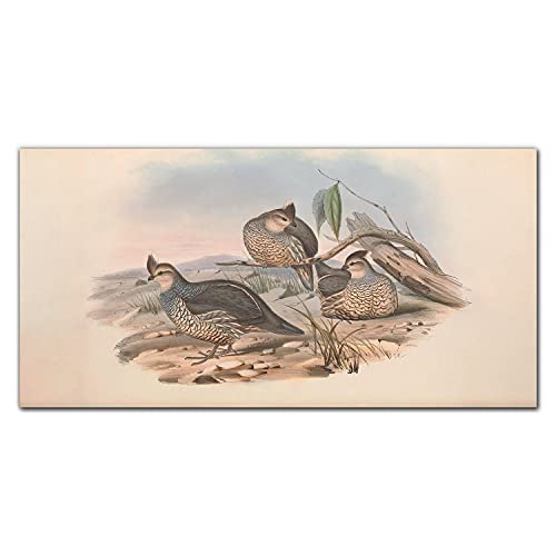Tableau en verre 100x50cm aux motifs d'oiseaux dessinés pour décorer votre intérieur