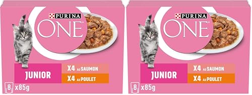 PURINA ONE Junior Chuletas en Salsa Sabores Surtidos Salmón y Pollo para Gatitos | Bolsas de Comida 8 x 85g (Paquete de 2)
