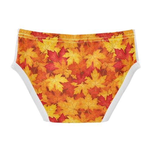 Boys' Exclusive Briefs Toddler Underwear 95% Combed Cotton Boxerbriefs 2T Autumn Leaf Pattern 422