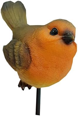 Vivid Arts Plant Pals - Robin Plant Pal (PLP-102)