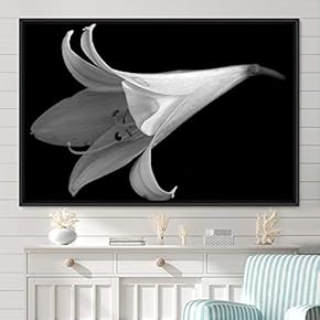 signwin Framed Canvas Wall Art Black and White...