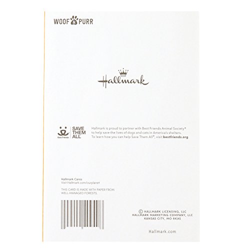 Hallmark Blank Greeting Card (Cats) #TOP4