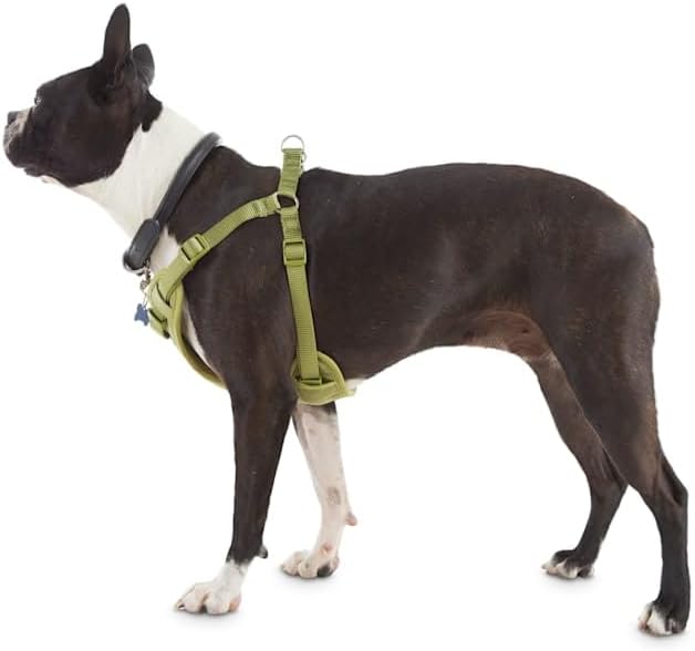 YOULY by Petco Padded Step-in Dog Harness Olive X-Small