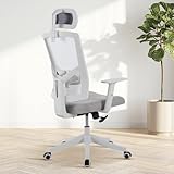 MilleLoom Ergonomic Office Chair, Comput...