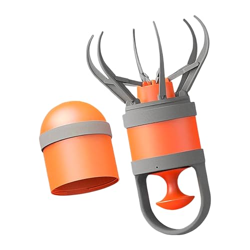 pXRbv - ybgp rc[ - ^XRbvݏE -  qL gC | O  Ő s Lvp