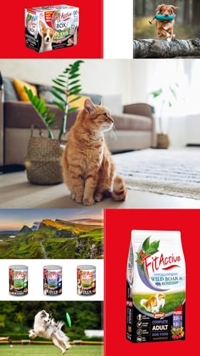 Panzi Pet Pure Beef & Rosehip – Hypoallergene Mono-Protein-Hundekroketten ohne Huhn oder Weizen – Hundefutter mit Rindfleisch – 3 kg